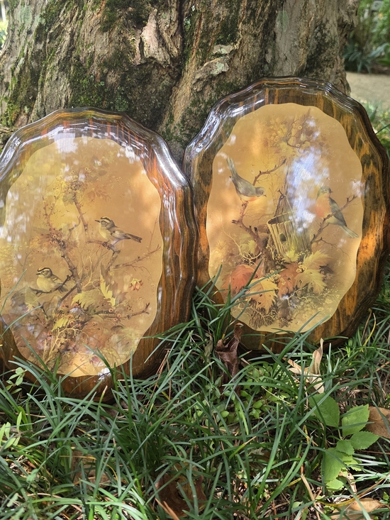 Other - Vintage Amber Wood Wall Plaques with Bird Artwork